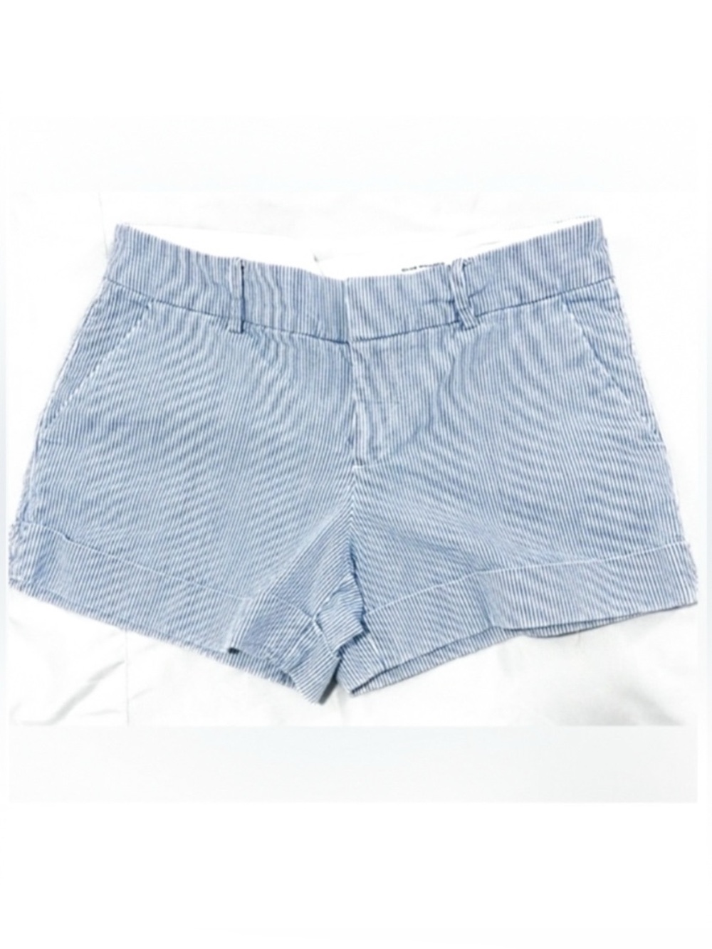Club Monaco Blue and White Striped Women's Shorts